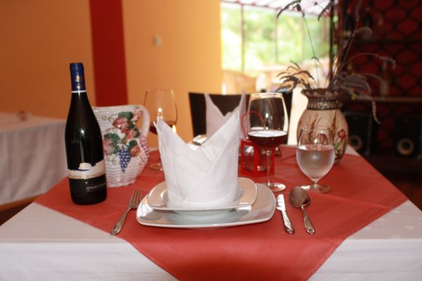 Hotel Pensiune Safrane (Baie Herculane)